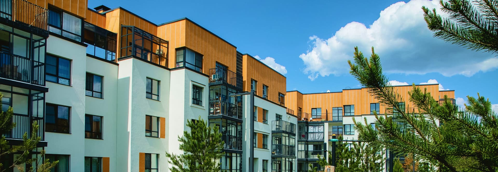 обложка мкд (3) (1).jpg