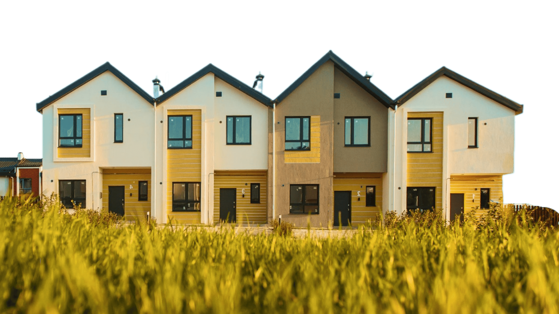 Remove-bg.ai_1753965945031 (1).png